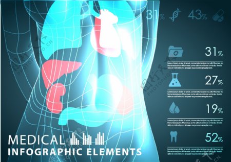 3D透视医疗人体图