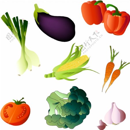 多种色泽亮丽的蔬菜矢量