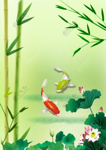 竹子鲤鱼图片