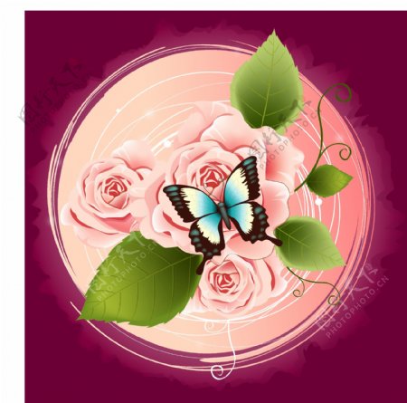 精美玫瑰花蝴蝶装饰图案矢量素材