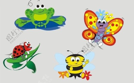 青蛙蜜蜂蝴蝶瓢虫图片