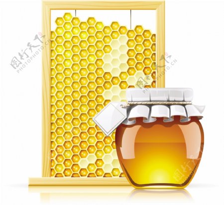 精美蜂蜜与蜂巢矢量素材