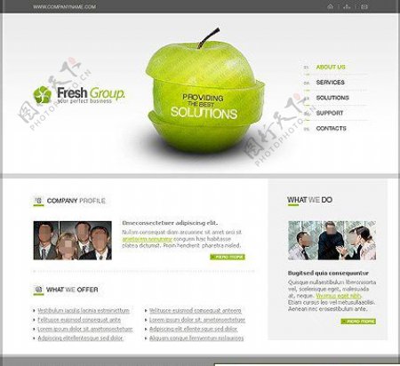 绿色苹果商业解决方案网站模板