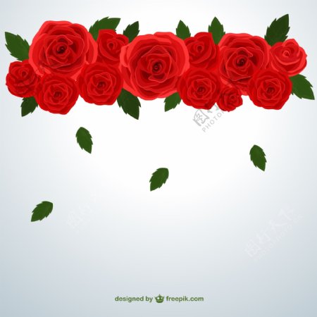 红色玫瑰花装饰背景矢量素材.