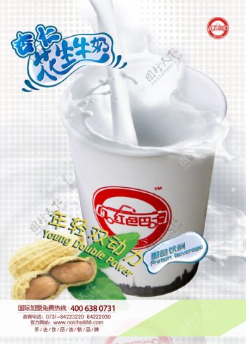 花生杏仁牛奶图片