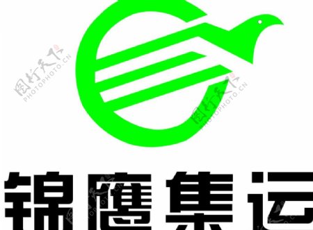 锦鹰集运logo图片