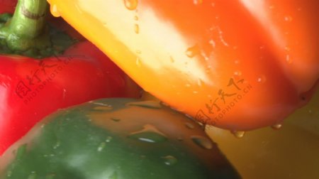 旋转的红色橙色黄色和绿色甜椒股票视频视频免费下载