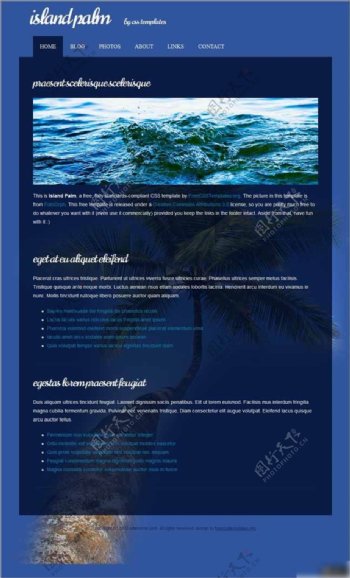 蓝色棕榈岛旅游信息网页模板