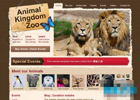 棕色纹理撕边动物园企业网站模板