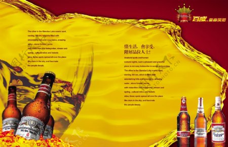 百威啤酒时尚高端的画册宣传封面