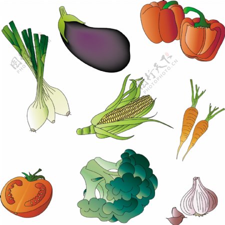 常见蔬菜图片