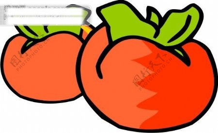 水果柿子