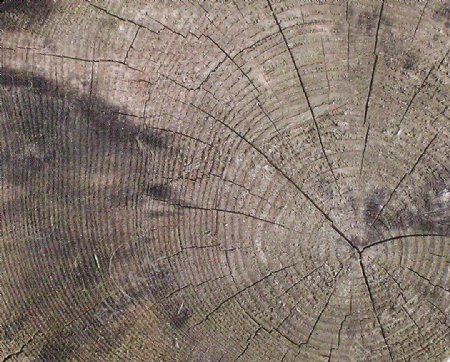 木材木纹国外经典木纹效果图木材木纹191