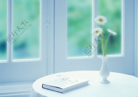 窗前圆桌上的鲜花书籍图片