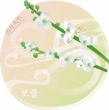 韩国插画一串小白花
