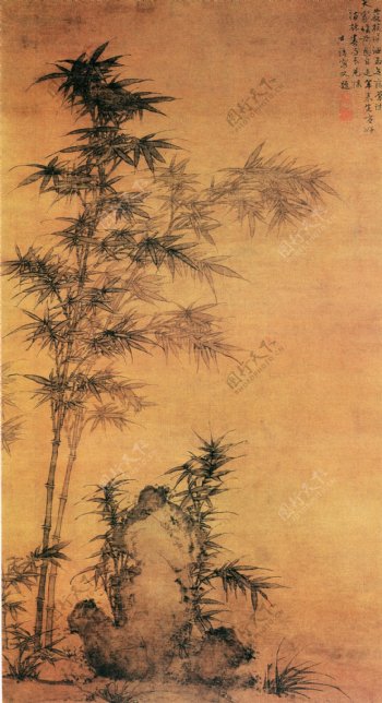 植物喜鹊白鹤牡丹花中国风中华艺术绘画