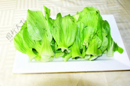 蔬菜上海青图片