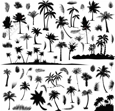 沙滩椰子树剪影图片