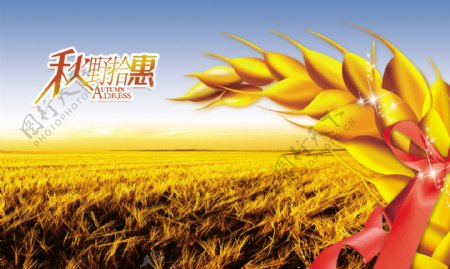 小麦丰收海报设计图片