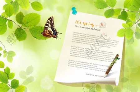 绿叶中的纸张和蝴蝶