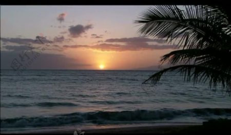 海岸夕阳风景画视频图片