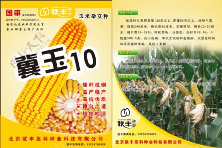 玉米农产品