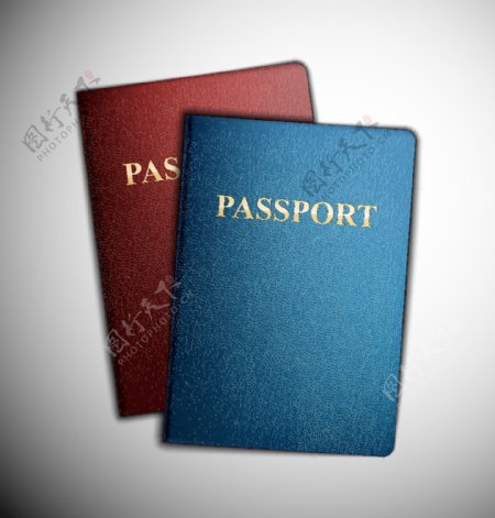 不同的护照模板矢量04
