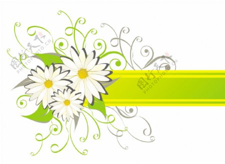 印花矢量图优雅植物菊花色彩黄色免费素材