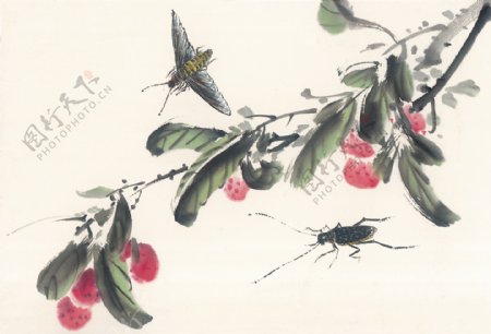 水墨画昆虫蚂蚱蛐蛐知了蝗虫中华艺术绘画