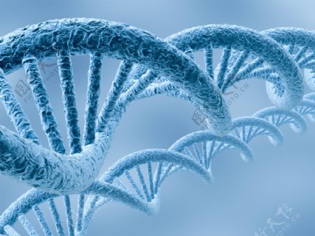 生物学DNA图片