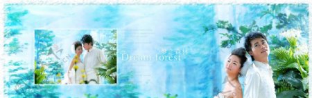 梦之森林图片