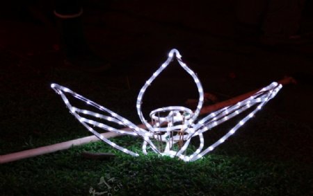 自贡灯会摄影图片