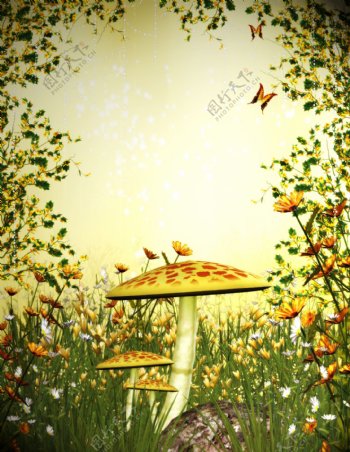 蘑菇花卉风景图片