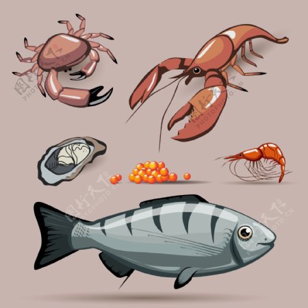 海鲜海鱼图片