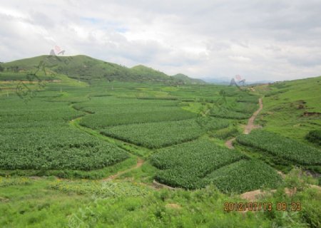 江南丘陵景观图片