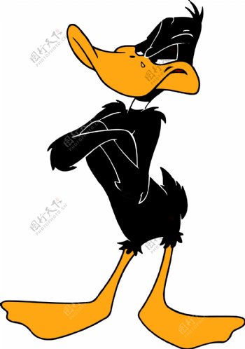 黑鸭子Daffy卡通设计图片