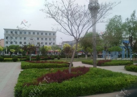 广场绿化环境图片