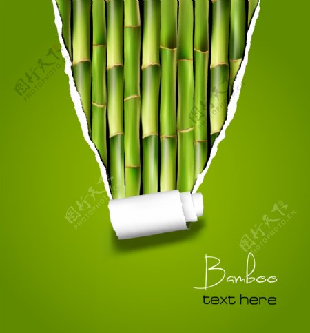 撕纸竹子绿竹背景图片