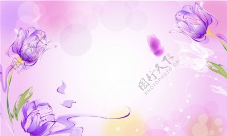 紫色矢量郁金香图片