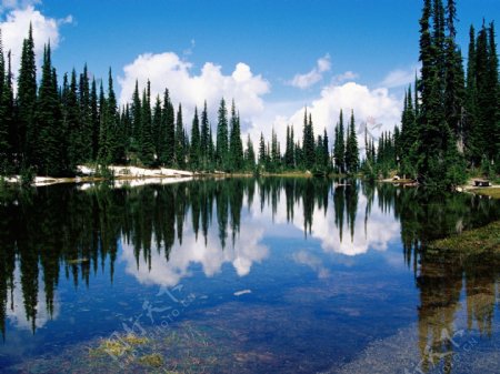 山水图风景画森林湖泊图片