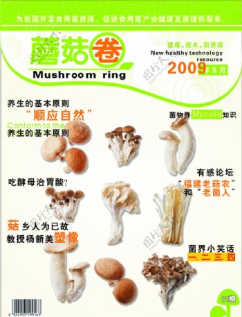 香菇美食文化绿色图片