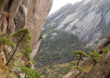 黄山风光图片