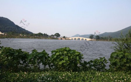 湘湖跨湖桥图片