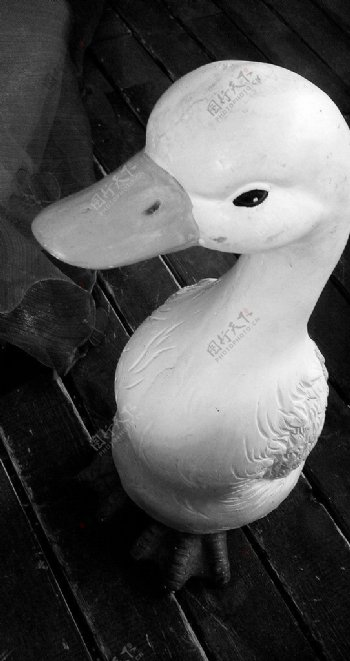 黑白石膏小鸭子装饰照片图片