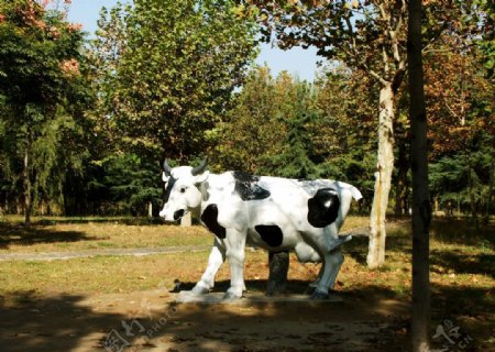 奶牛雕塑图片