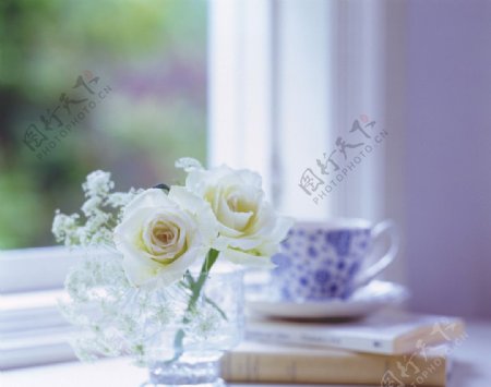 窗前鲜花茶杯书籍图片