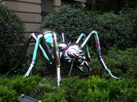 2008上海双年展五彩蚂蚁图片