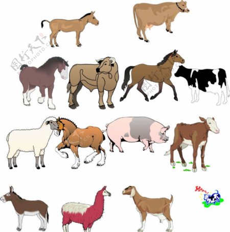 家畜农场动物图片