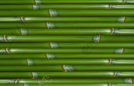 竹排图片