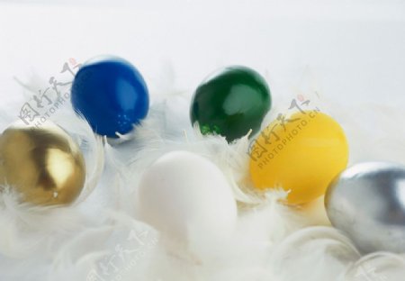 孵化的蛋蛋图片